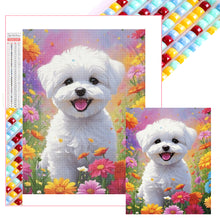 Load image into Gallery viewer, Diamond Painting - Full Square - Bichon Frise (40*40CM)
