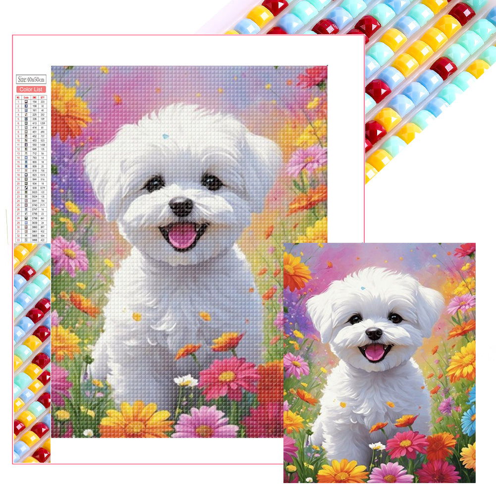 Diamond Painting - Full Square - Bichon Frise (40*40CM)