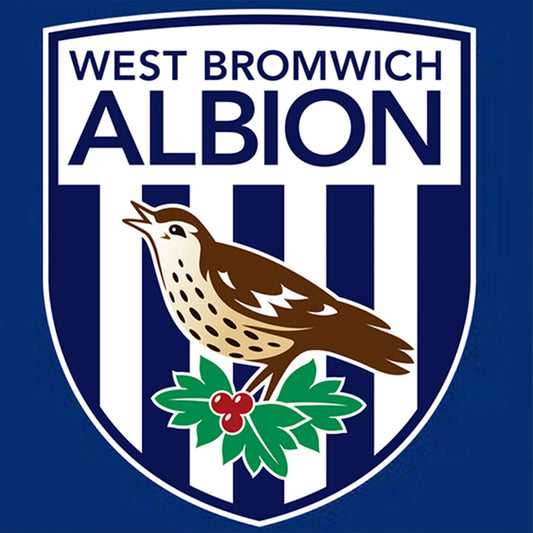 AB Diamond Painting - Full Round - West Bromwich Albion Football Club (40*40CM)