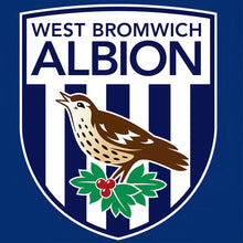 Load image into Gallery viewer, AB Diamond Painting - Full Round - West Bromwich Albion Football Club (40*40CM)
