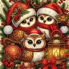 Load image into Gallery viewer, Diamond Painting - Partial Special Shaped - Santa Claus owl (30*30CM)
