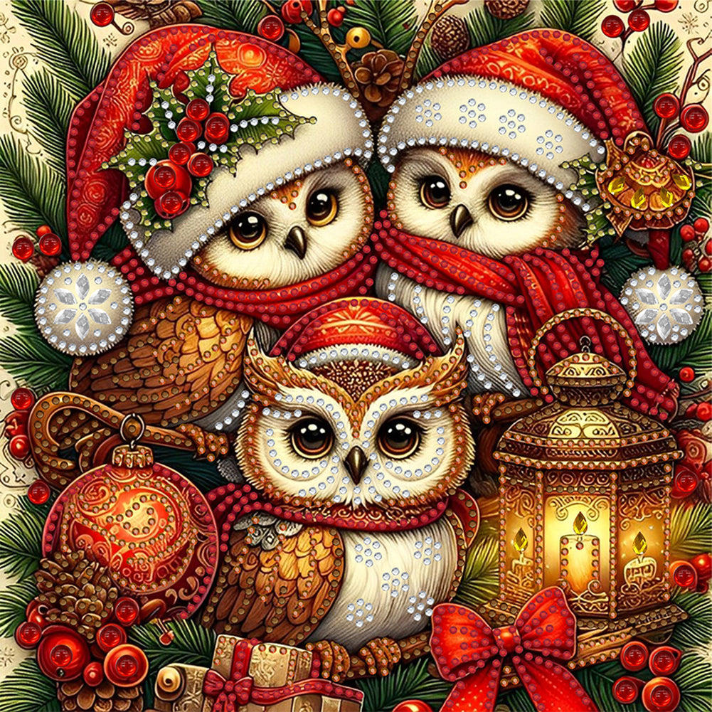 Diamond Painting - Partial Special Shaped - Santa Claus owl (30*30CM)