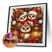 Load image into Gallery viewer, Diamond Painting - Partial Special Shaped - Santa Claus owl (30*30CM)
