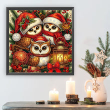 Load image into Gallery viewer, Diamond Painting - Partial Special Shaped - Santa Claus owl (30*30CM)
