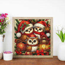 Load image into Gallery viewer, Diamond Painting - Partial Special Shaped - Santa Claus owl (30*30CM)
