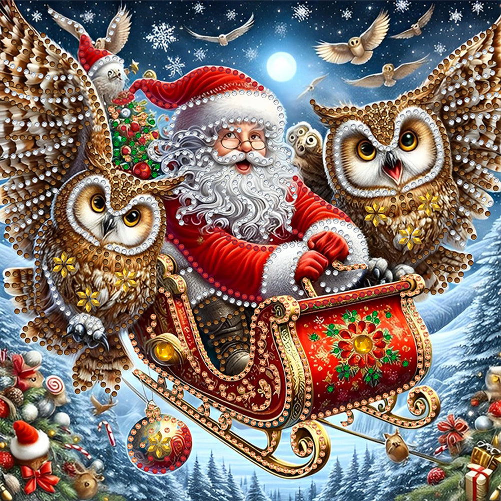 Diamond Painting - Partial Special Shaped - Santa Claus owl (30*30CM)