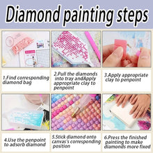 Load image into Gallery viewer, Diamond Painting - Partial Crystal - Crystal Princess pink (30*30CM)
