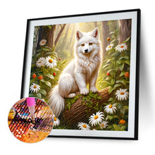 Load image into Gallery viewer, Diamond Painting - Full Round - White fox (40*40CM)

