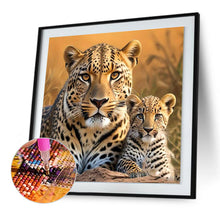 Load image into Gallery viewer, Diamond Painting - Full Round - Lion on the grassland (30*30CM)
