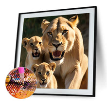 Load image into Gallery viewer, Diamond Painting - Full Round - Lion on the grassland (30*30CM)

