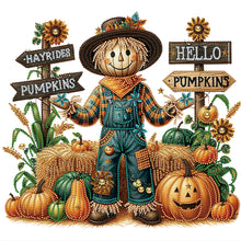 Load image into Gallery viewer, Diamond Painting - Partial Special Shaped - Pumpkin scarecrow (40*40CM)
