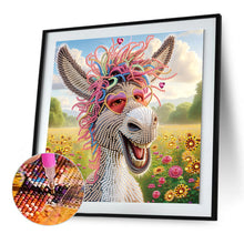 Load image into Gallery viewer, Diamond Painting - Partial Special Shaped - Funny donkey (30*30CM)
