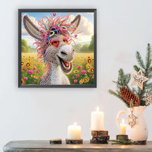 Load image into Gallery viewer, Diamond Painting - Partial Special Shaped - Funny donkey (30*30CM)
