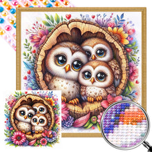Load image into Gallery viewer, AB Diamond Painting - Full Round - Owl (40*40CM)
