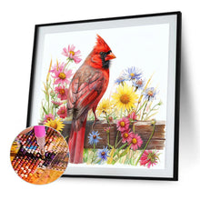 Load image into Gallery viewer, AB Diamond Painting - Full Round - Red cardinals (40*40CM)
