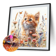 Load image into Gallery viewer, AB Diamond Painting - Full Round - Orange cats (40*40CM)
