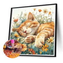 Load image into Gallery viewer, Diamond Painting - Full Round - Flower bush orange cat (40*40CM)
