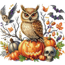 Load image into Gallery viewer, Diamond Painting - Partial Special Shaped - Owl and Pumpkin (30*30CM)
