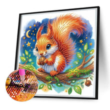 Load image into Gallery viewer, Diamond Painting - Partial Special Shaped - Squirrel (30*30CM)

