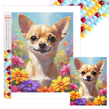 Load image into Gallery viewer, Diamond Painting - Full Square - Chihuahua (30*40CM)
