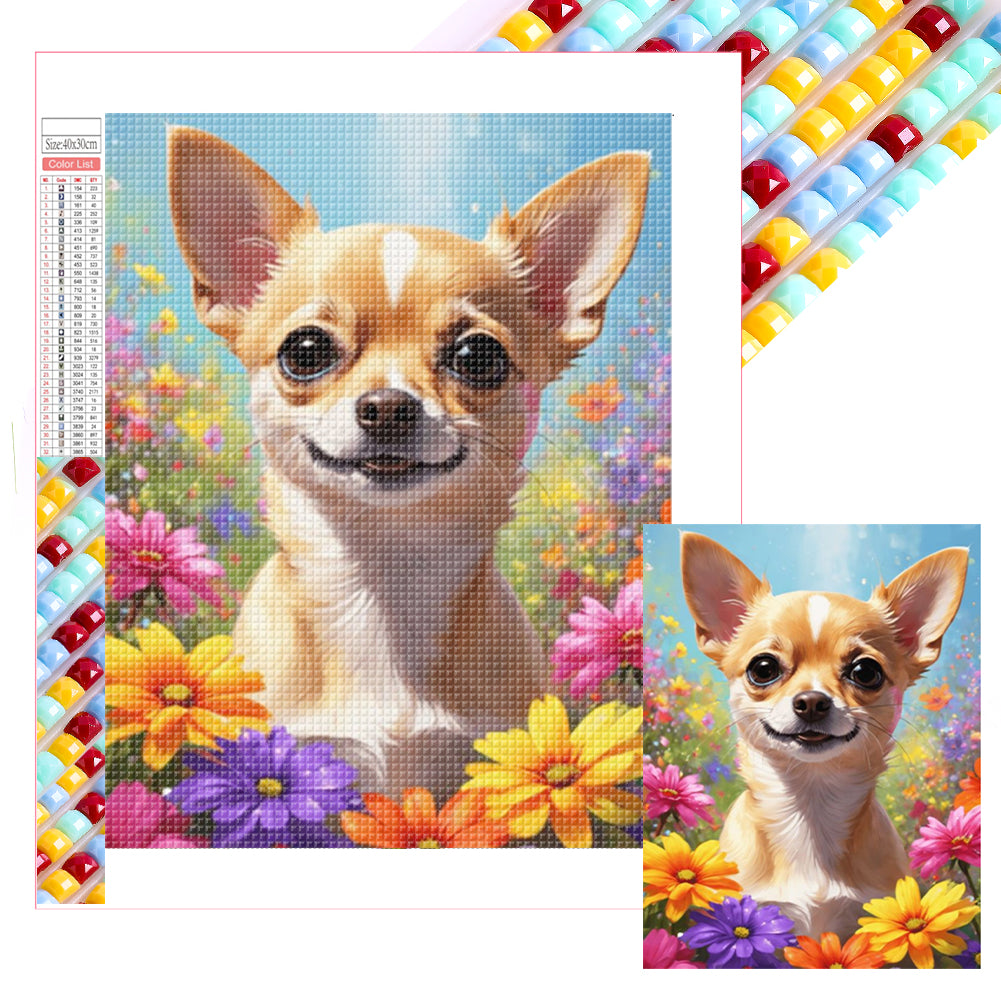 Diamond Painting - Full Square - Chihuahua (30*40CM)