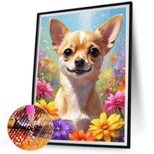 Load image into Gallery viewer, Diamond Painting - Full Square - Chihuahua (30*40CM)
