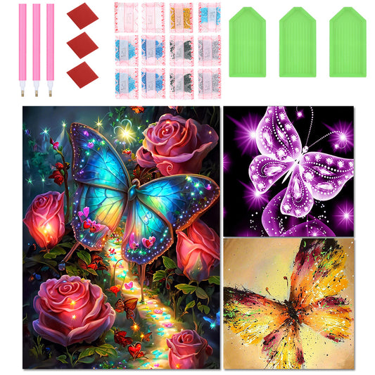 3pcs Round Diamond Painting Set - Butterfly (30*40CM)