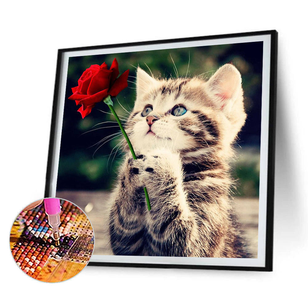 3pcs Round Diamond Painting Set - Cat (30*30CM)