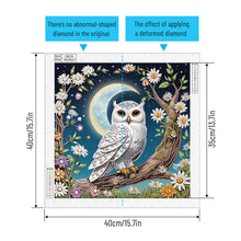 Load image into Gallery viewer, Diamond Painting - Partial Special Shaped - Owl (40*40CM)
