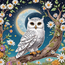 Load image into Gallery viewer, Diamond Painting - Partial Special Shaped - Owl (40*40CM)

