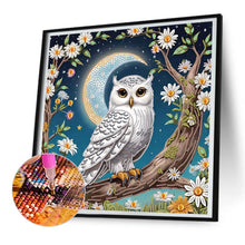 Load image into Gallery viewer, Diamond Painting - Partial Special Shaped - Owl (40*40CM)
