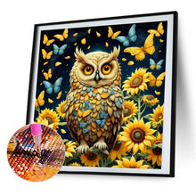 Load image into Gallery viewer, AB Diamond Painting - Full Square - Owl (40*40CM)
