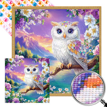 Load image into Gallery viewer, AB Diamond Painting - Full Round - Colorful feather owl (40*40CM)
