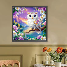Load image into Gallery viewer, AB Diamond Painting - Full Round - Colorful feather owl (40*40CM)
