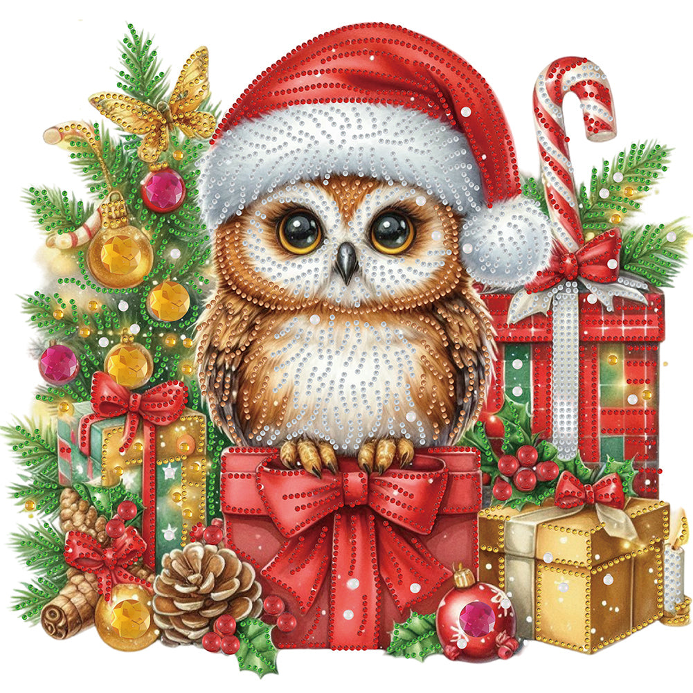 Diamond Painting - Partial Special Shaped - Christmas Owl (40*40CM)