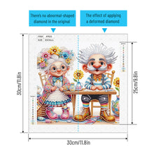 Load image into Gallery viewer, Diamond Painting - Partial Special Shaped - Warm old couple (30*30CM)
