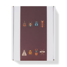 Load image into Gallery viewer, Mini Diamond Painting Set - Full Round - Insects (12*17CM)
