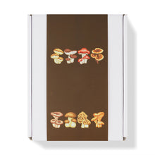 Load image into Gallery viewer, Mini Diamond Painting Set - Full Round - Mushrooms (12*17CM)
