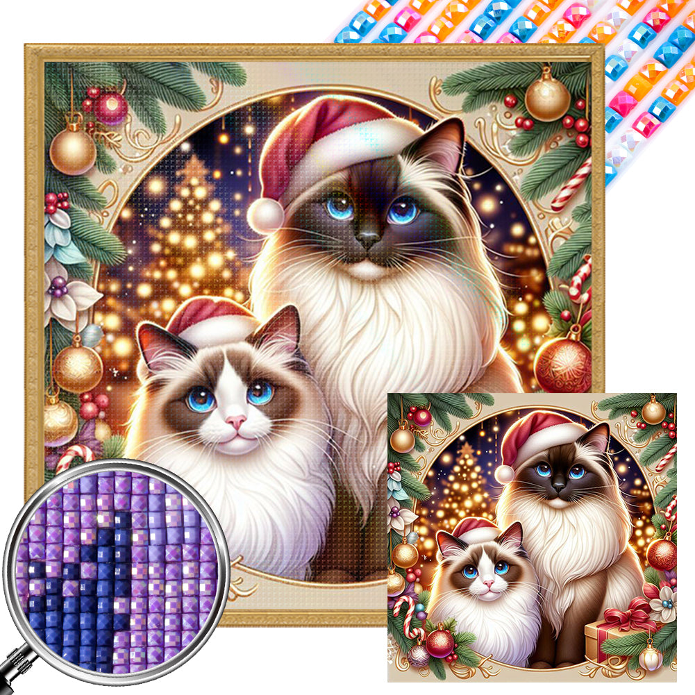 AB Diamond Painting - Full Square - Christmas Ragdoll Cat (40*40CM)