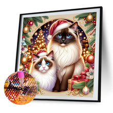 Load image into Gallery viewer, AB Diamond Painting - Full Square - Christmas Ragdoll Cat (40*40CM)
