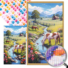 Load image into Gallery viewer, AB Diamond Painting - Full Round - Outdoor farm (40*70CM)
