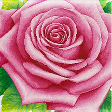 Load image into Gallery viewer, AB Diamond Painting - Full Round - Pink rose (45*45CM)
