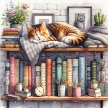 Load image into Gallery viewer, Diamond Painting - Full Round - Cat sleeping on bookshelf (40*40CM)
