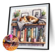 Load image into Gallery viewer, Diamond Painting - Full Round - Cat sleeping on bookshelf (40*40CM)
