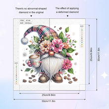 Load image into Gallery viewer, Diamond Painting - Partial Special Shaped - Gnome (30*30CM)
