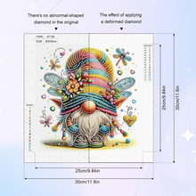 Load image into Gallery viewer, Diamond Painting - Partial Special Shaped - Gnome (30*30CM)
