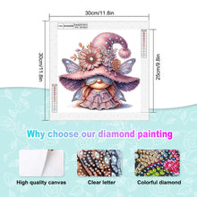Load image into Gallery viewer, Diamond Painting - Partial Special Shaped - Gnome (30*30CM)
