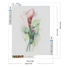 Load image into Gallery viewer, Diamond Painting - Full Round - Calpa lily (40*50CM)
