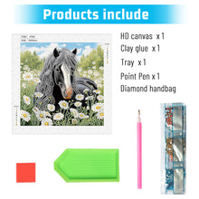 Load image into Gallery viewer, Diamond Painting - Partial Special Shaped - Horse (30*30CM)
