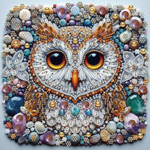 Load image into Gallery viewer, 4pcs Partial Special Diamond Painting Set - Owl bird carriage (30*30CM)
